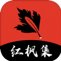 高清乱码在线看最新版