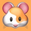 WWW,926se·COM网站APPAPP应用